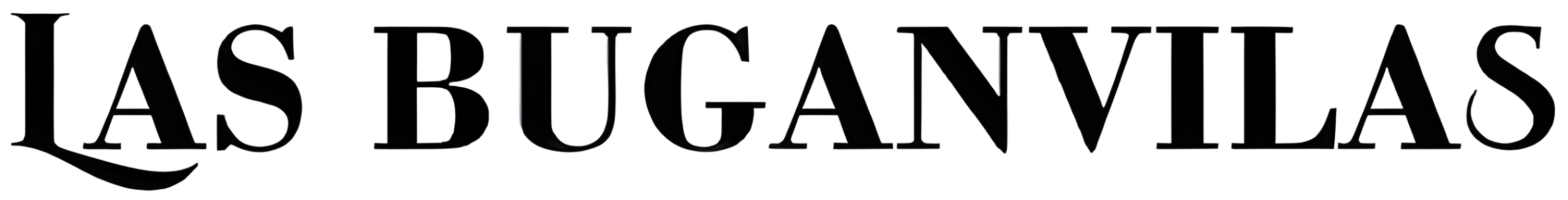 Logo claro nombre