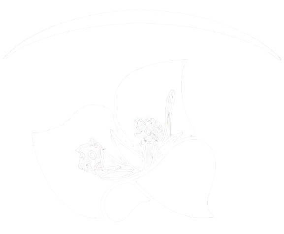 Logo oscuro
